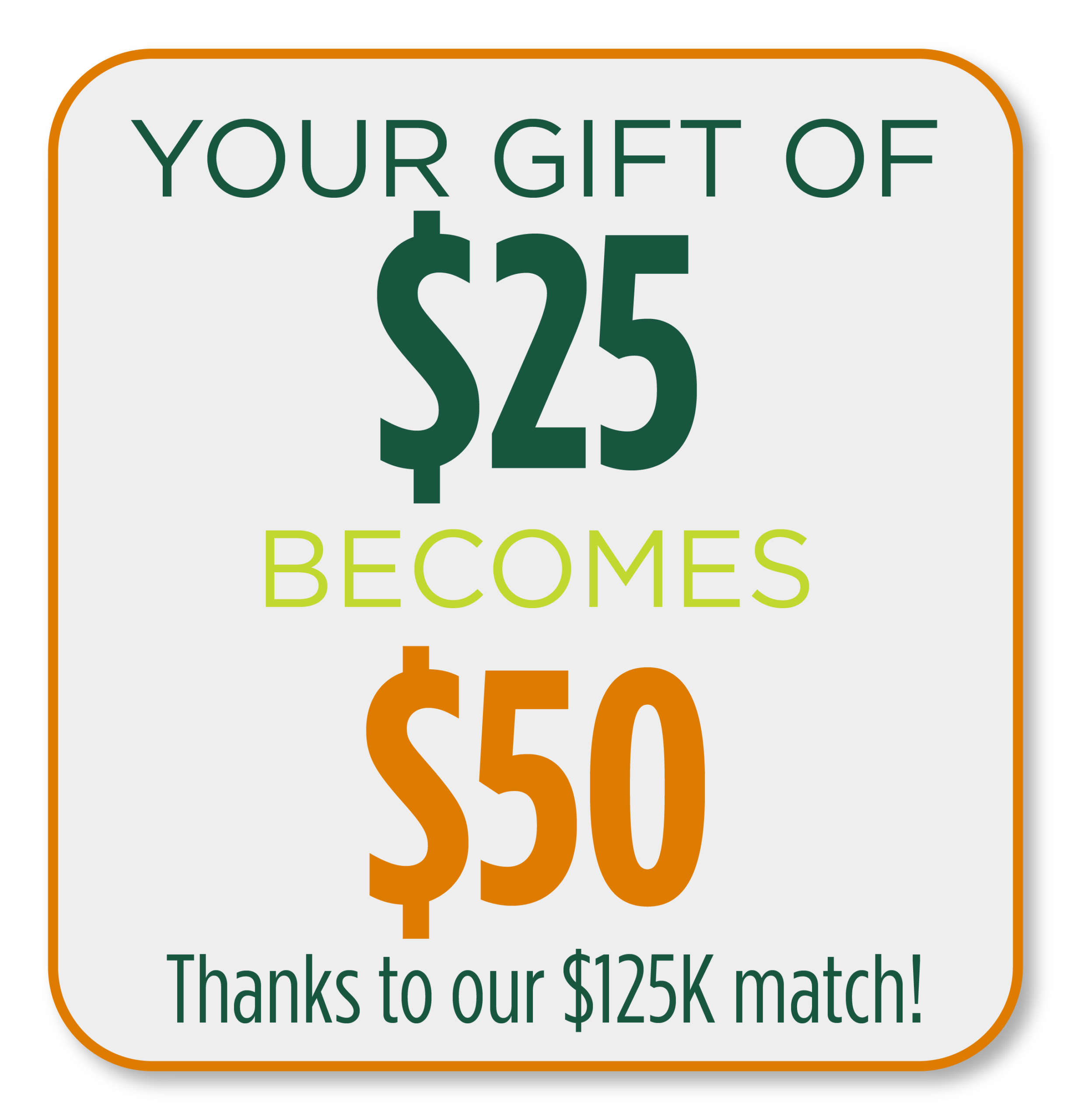 26WJR_GivingPage_ImpactSquares-08